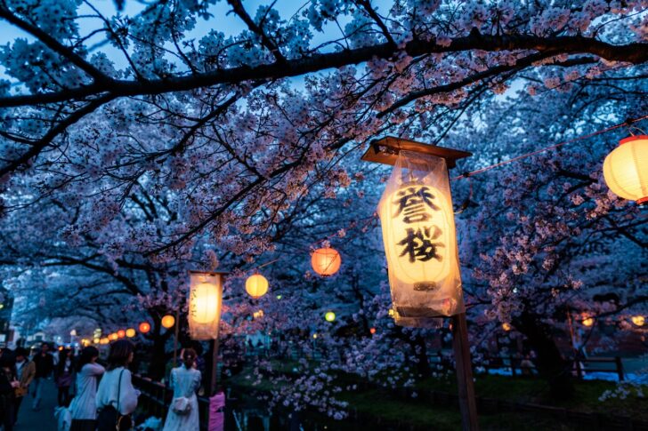 Japan in blossom